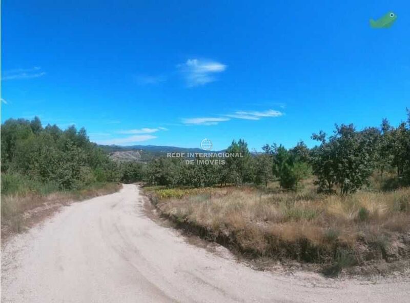 Terreno com 8600m2 Grilo Baião