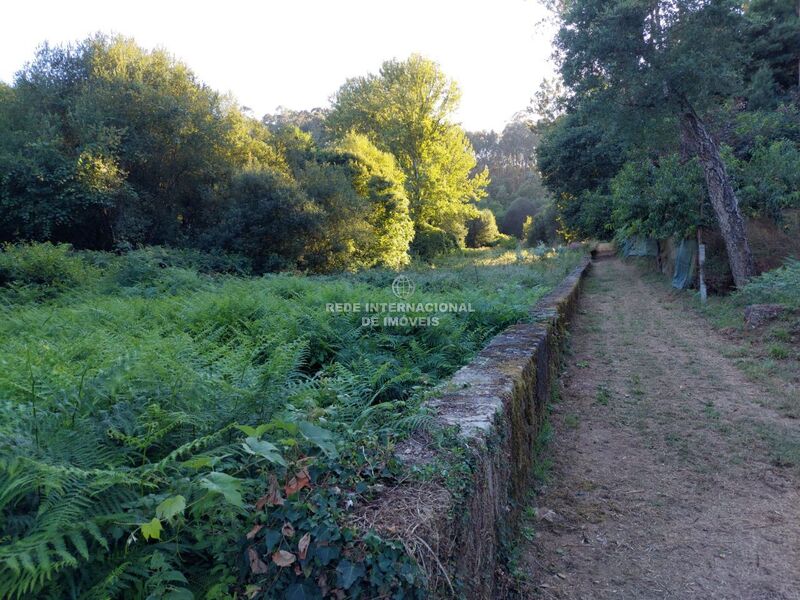 Land Agricultural with 3500sqm Vila Nova de Gaia - water