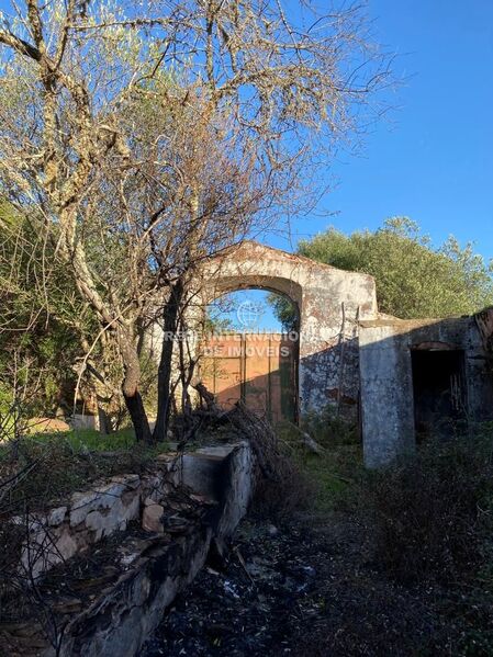 Terreno Rústico com 33262m2 São Bras de Alportel São Brás de Alportel - oliveiras, sobreiros