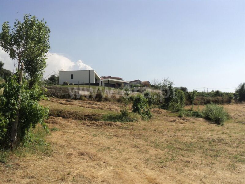 земля сельский c 17960m2 Soalhães Marco de Canaveses - оливковые деревья, отличное расположение