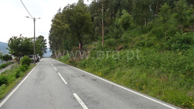 Land with 1200sqm Rio Douro Souselo Cinfães - great location