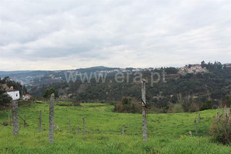 Land with 3500sqm Rio Douro Souselo Cinfães - water