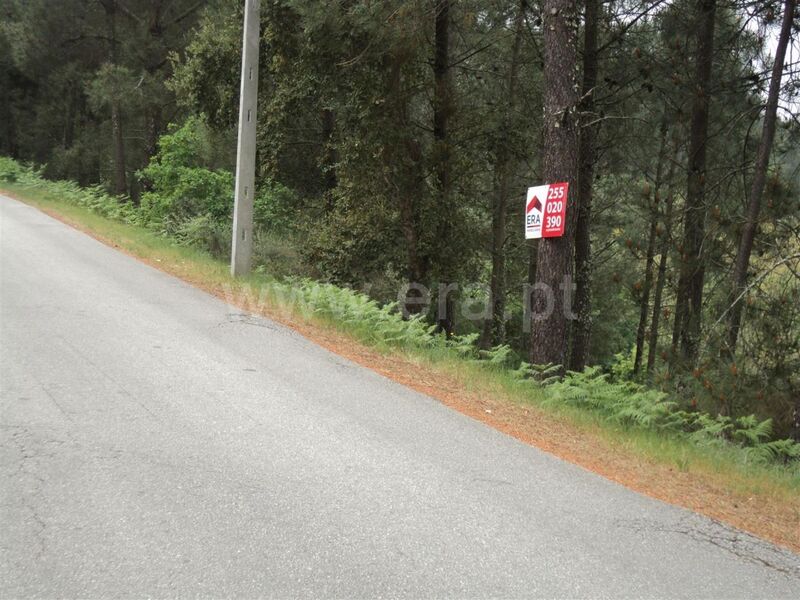 Land Agricultural with 5832sqm Oliveira do Douro Cinfães - great location