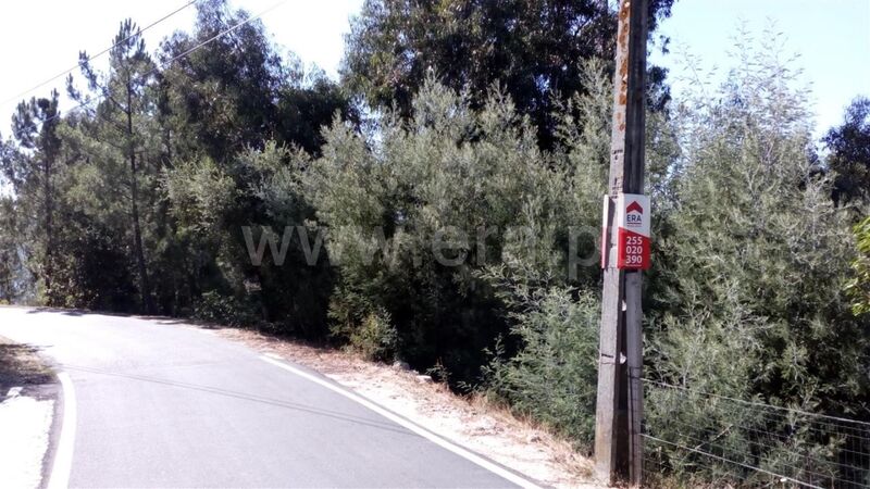 Land with 4250sqm Oliveira do Douro Cinfães - great location, construction viability