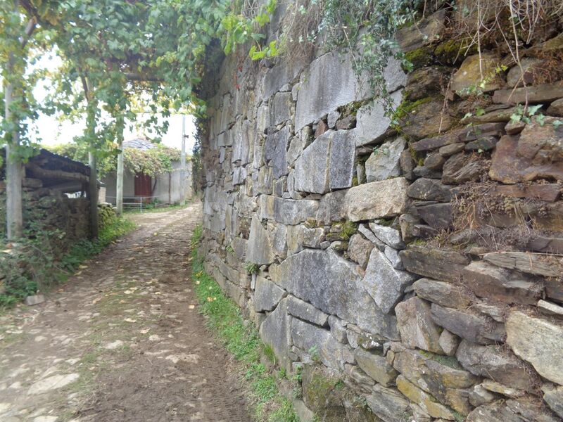 Moradia V3 Nespereira Cinfães