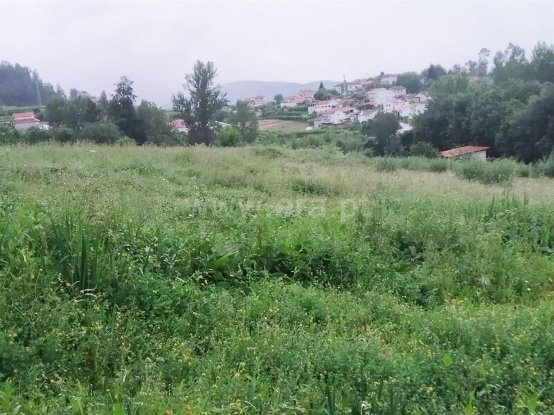 Land with 10900sqm Travanca Cinfães - water