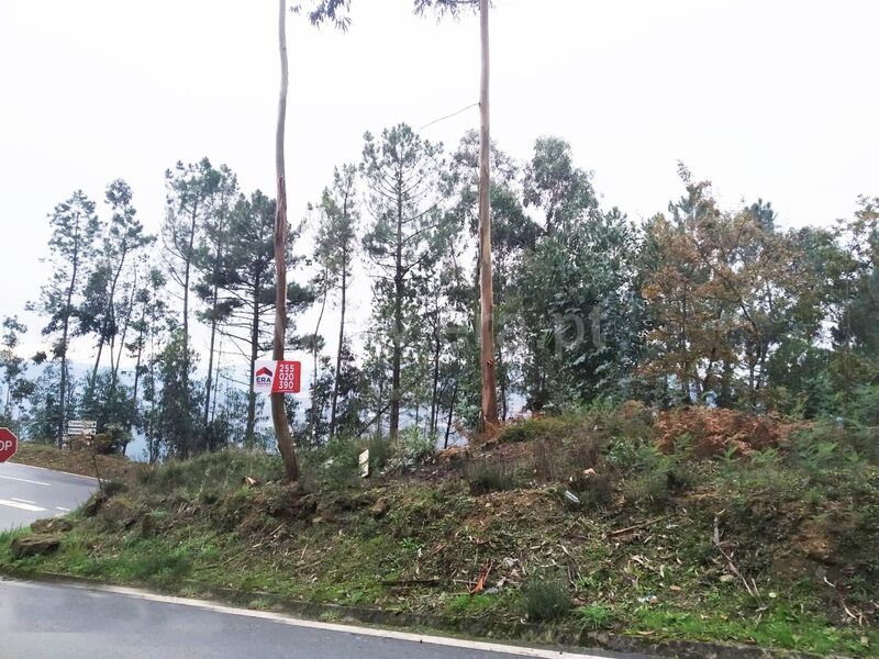 Land with 2300sqm Travanca Cinfães - easy access, construction viability