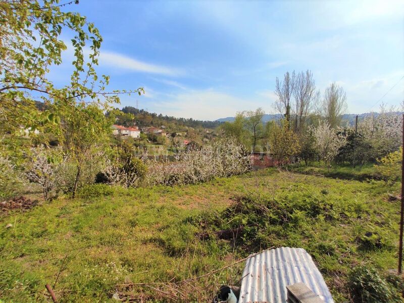 Farm well located Cinfães