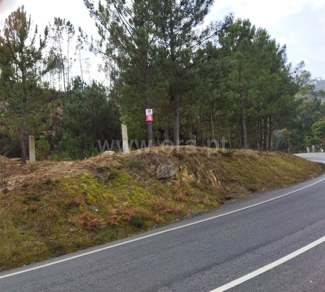 Land with 8000sqm Santiago de Piães Cinfães