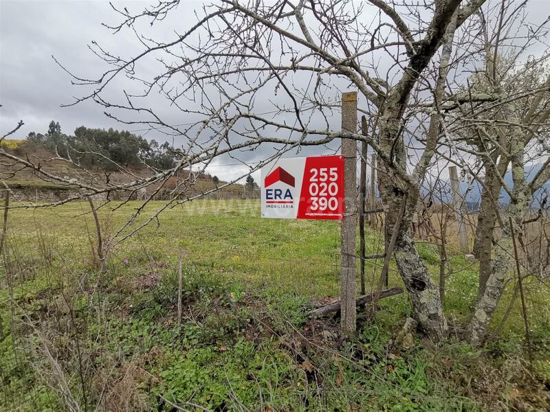 Terreno Rústico com 1730m2 Baião - poço, água, tanque