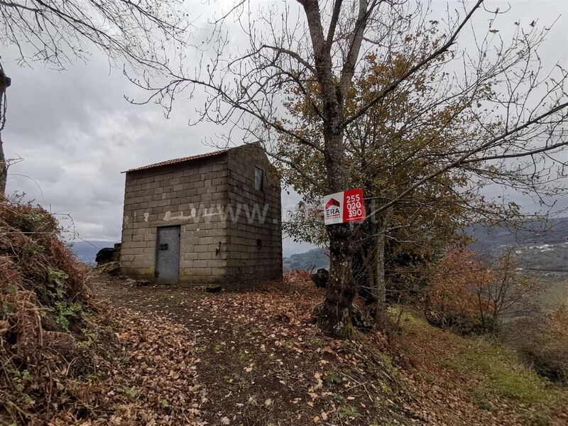 Terreno Agrícola com 3184m2 Baião - regadio, água