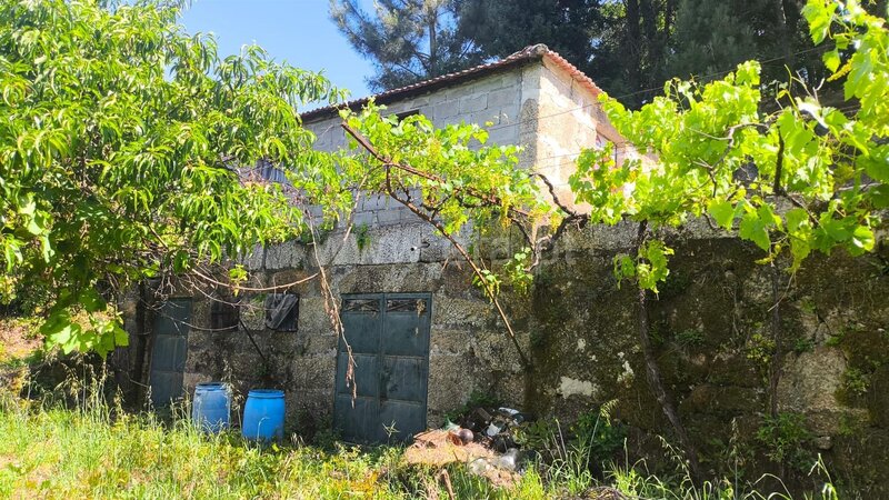 Terreno com 3084m2 Baião