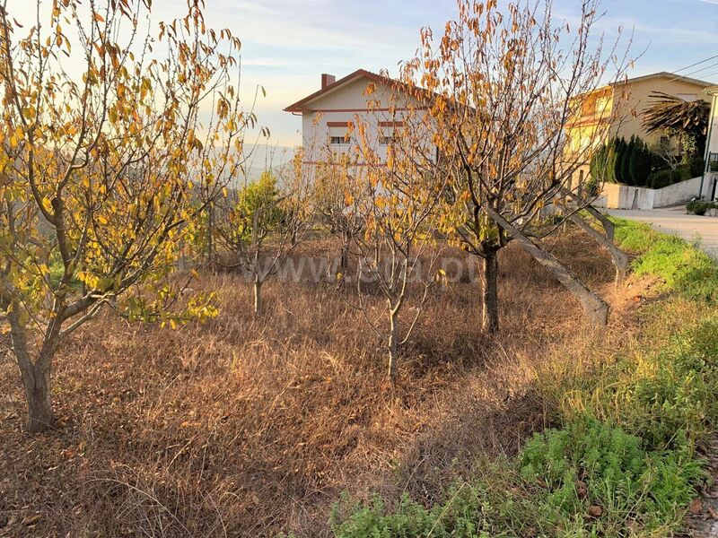 Land with 120sqm Resende - fruit trees