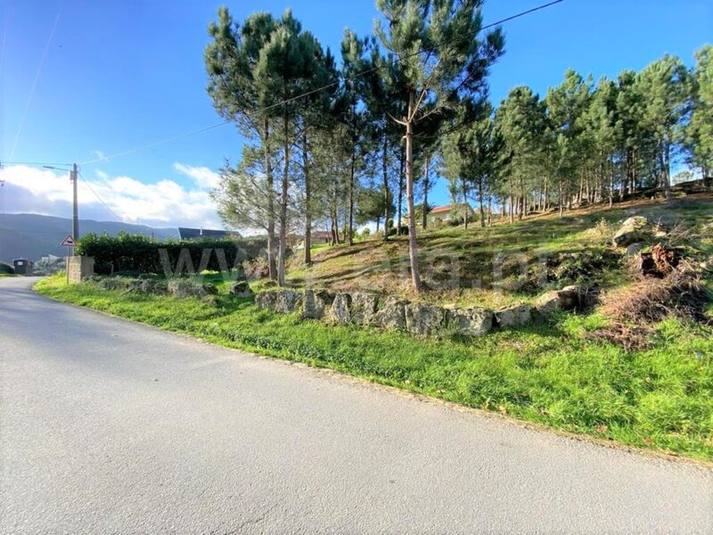 Terreno para construção São Cristóvão de Nogueira Cinfães