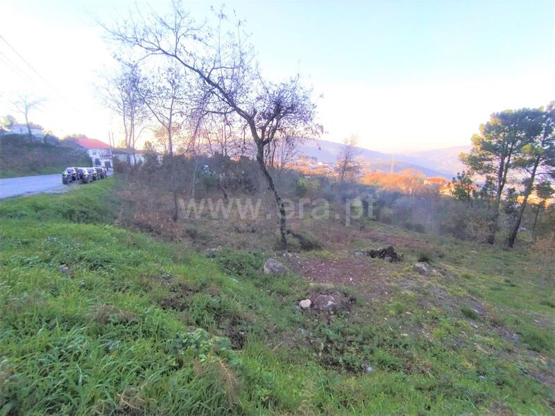 Terreno com 2504m2 Cinfães - viabilidade de construção