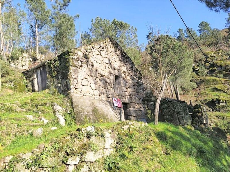 Terreno Agrícola com 1600m2 Ferreiros de Tendais Cinfães - bons acessos