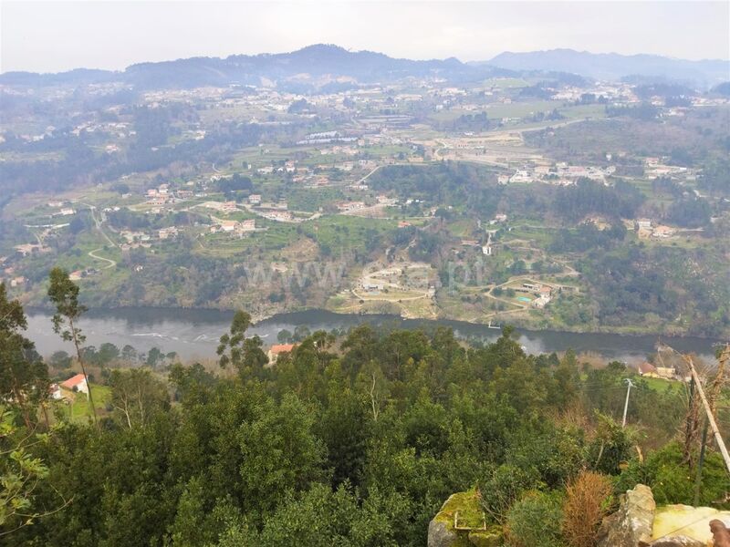 Land with 2770sqm Espadanedo Cinfães - construction viability