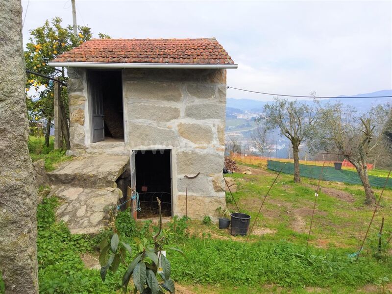 Terreno com 20351m2 Espadanedo Cinfães - viabilidade de construção
