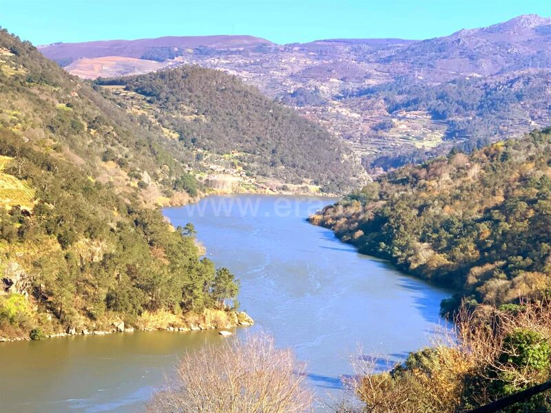 Terreno com 8069m2 Rio Douro Resende