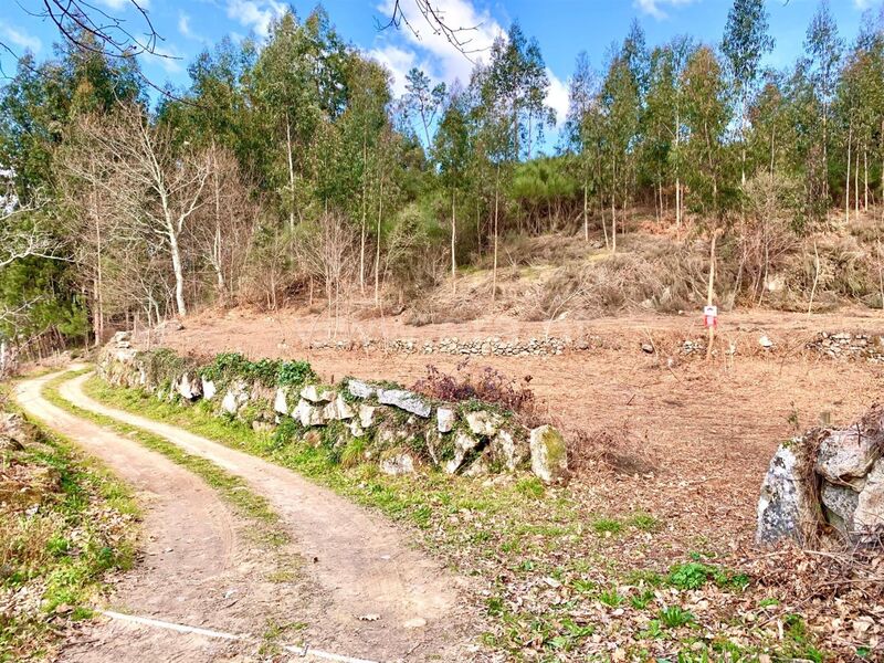 Land with 2750sqm Fornelos Cinfães