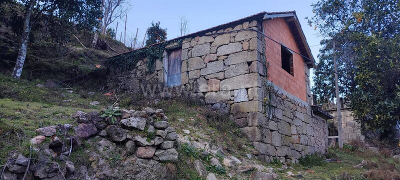 Terreno Agrícola com 770m2 Cinfães