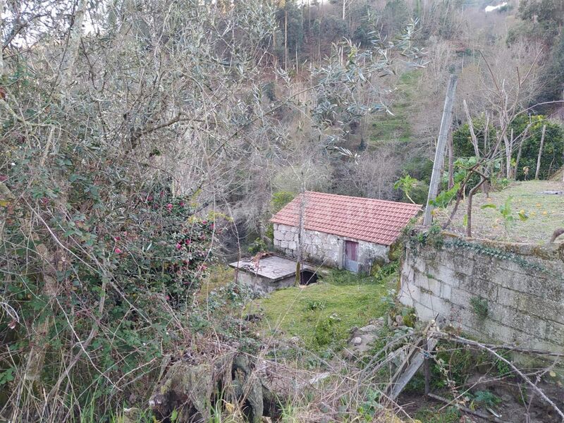 Terreno Agrícola com 770m2 Cinfães