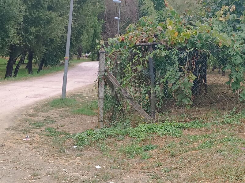 Land with 7180sqm São João de Fontoura Resende - fruit trees