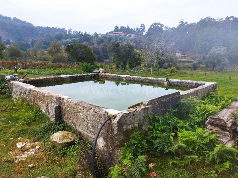 Farm Tarouquela Cinfães