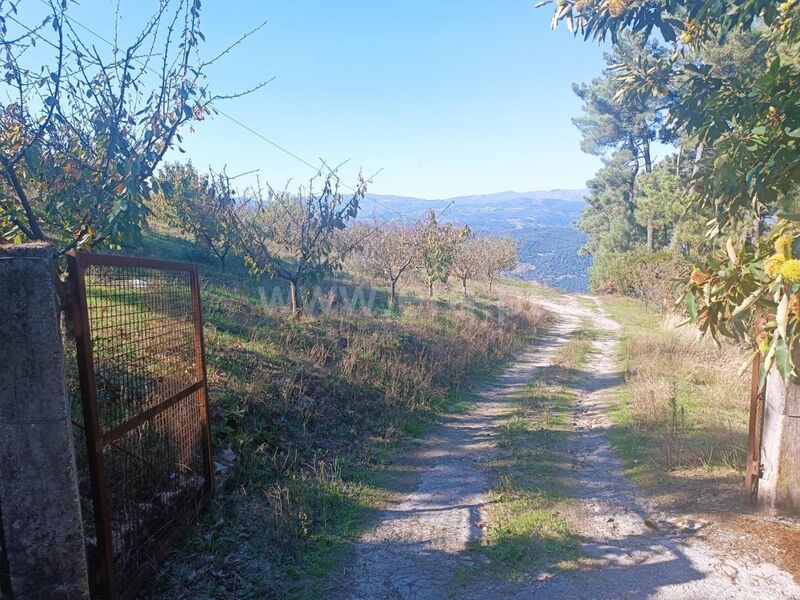Terreno Agrícola com 7959m2 São João de Fontoura Resende - água, furo