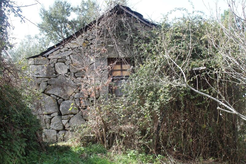 Land Rustic with 7694sqm Fornelos Cinfães - water