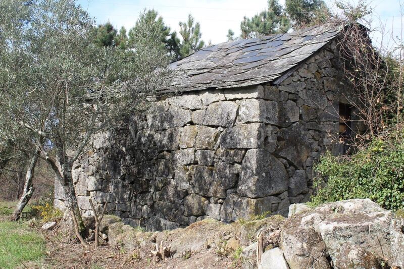 Land Rustic with 7694sqm Fornelos Cinfães - water