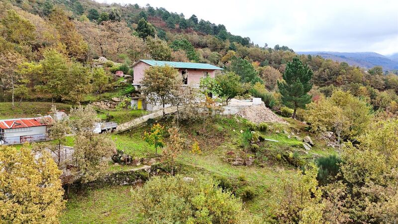 Land with 3500sqm Ferreiros de Tendais Cinfães - easy access, water, fruit trees