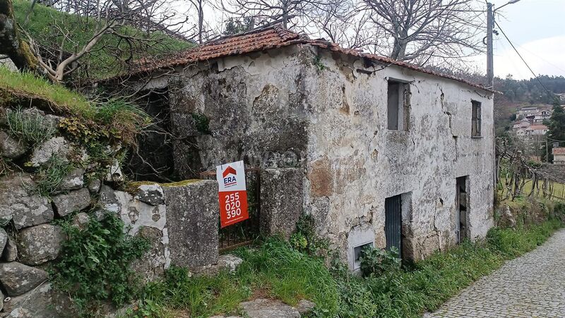 Ruine Souselo Cinfães