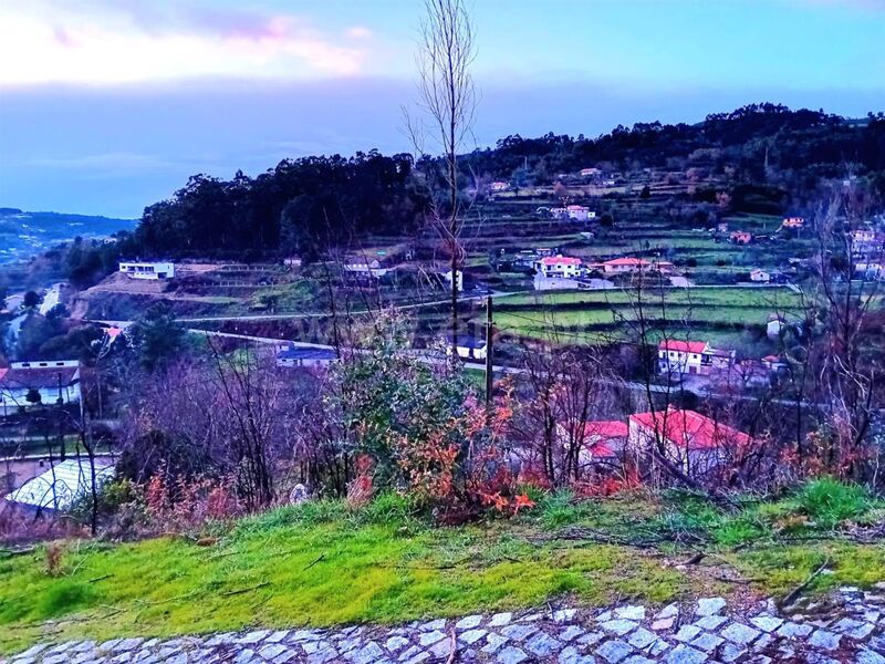 Terreno com 5700m2 Baião - excelente localização