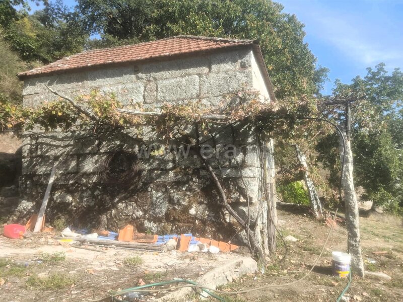Terreno / Baião, Viariz