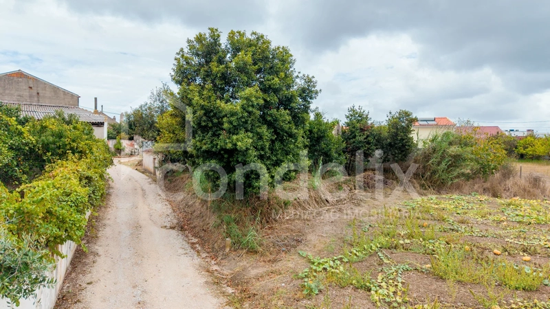 Terreno para venda na Lourinhã