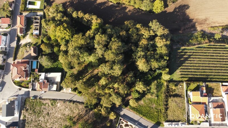 Terreno para investimento no centro de paredes - 7.800m² por 375.000 €
