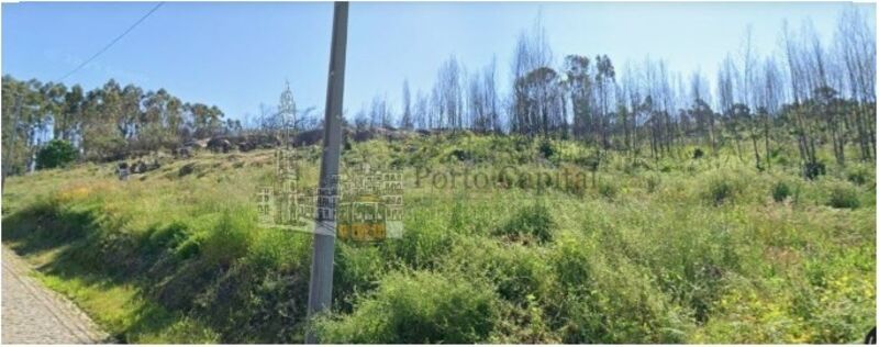 Terreno carvalhos de bogalhos