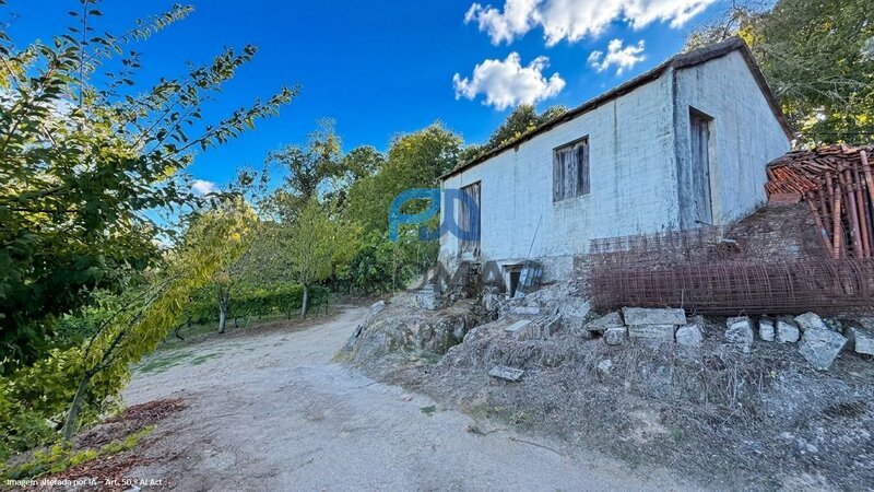 VINHA com 13.600m2 em URGUEIRA - Valadares, Baião Castas de Excelência para Produção