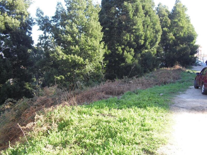 Land with 3692sqm Oliveira do Douro Vila Nova de Gaia - easy access, construction viability