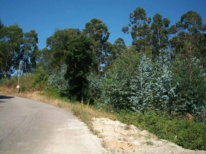 Terreno com 2000m2 Oliveira do Douro Vila Nova de Gaia