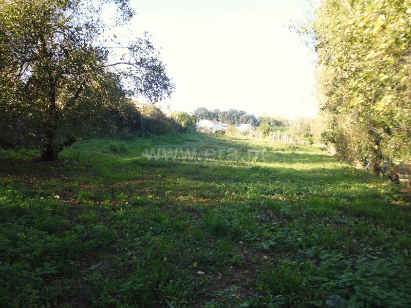 Terreno plano Oliveira do Douro Vila Nova de Gaia - bons acessos