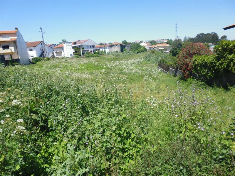 Land with 10718sqm Oliveira do Douro Vila Nova de Gaia