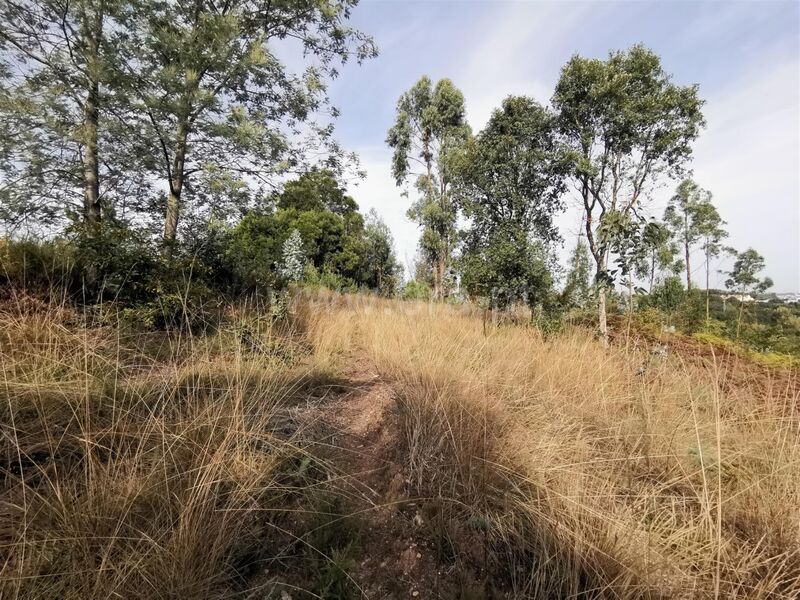 Terreno com 3238m2 Vilar de Andorinho Vila Nova de Gaia