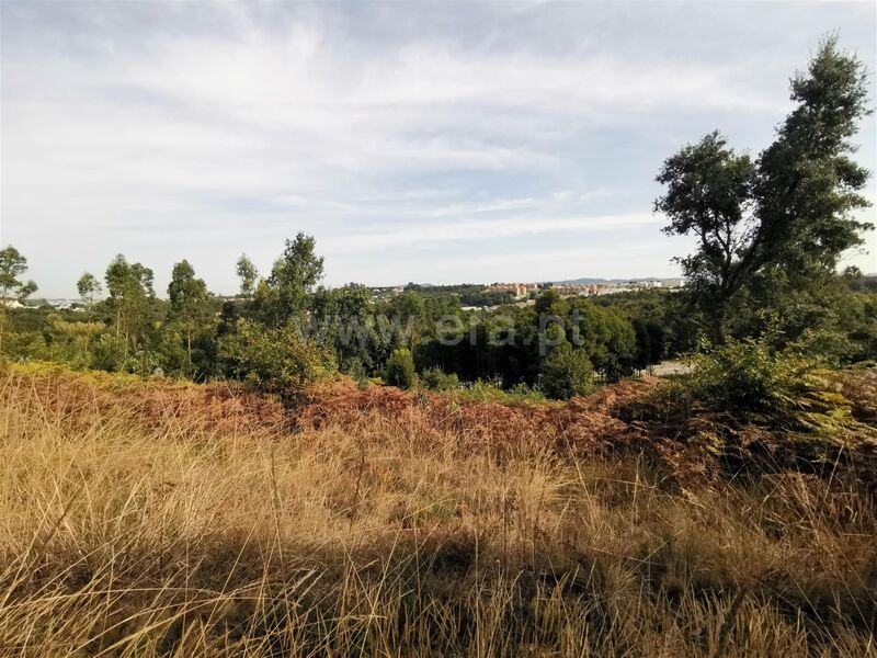 земля c 3238m2 Vilar de Andorinho Vila Nova de Gaia