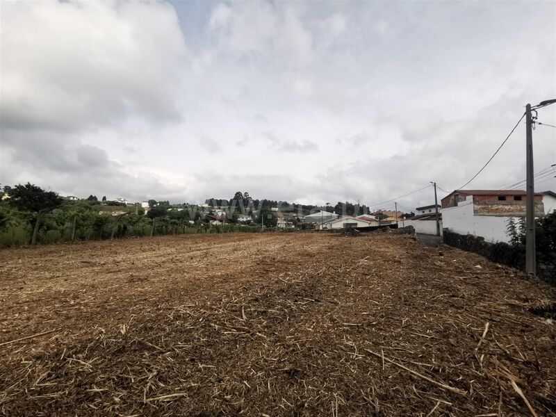 Terreno com 4000m2 Avintes Vila Nova de Gaia - viabilidade de construção