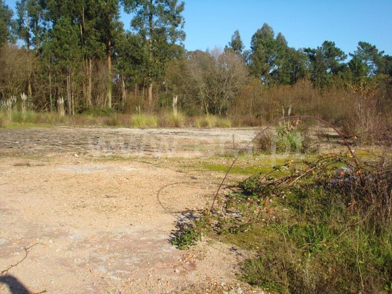 Terreno com 6500m2 Vilar de Andorinho Vila Nova de Gaia