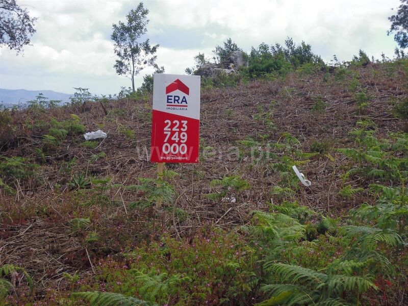 Lote para construção Oliveira do Douro Vila Nova de Gaia