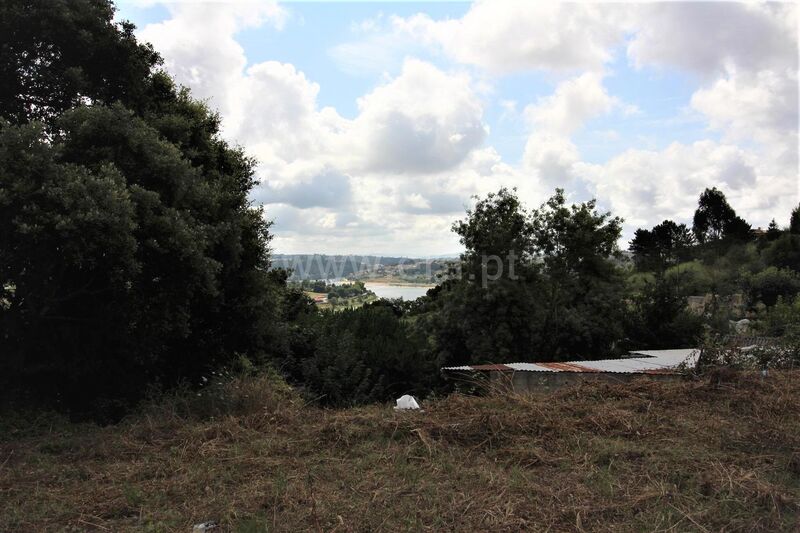 Land for construction Oliveira do Douro Vila Nova de Gaia - fruit trees