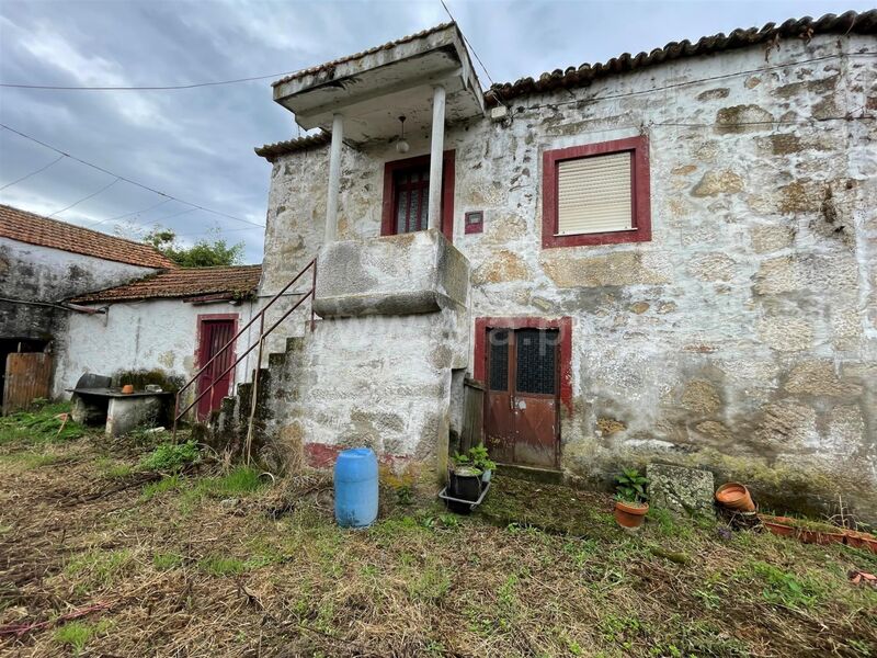 House Oliveira do Douro Vila Nova de Gaia - gardens